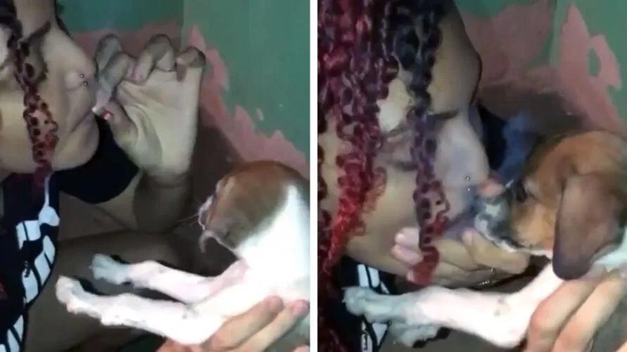 Influencer de Jacundá obriga cão a fumar maconha e vai parar na delegacia; assista