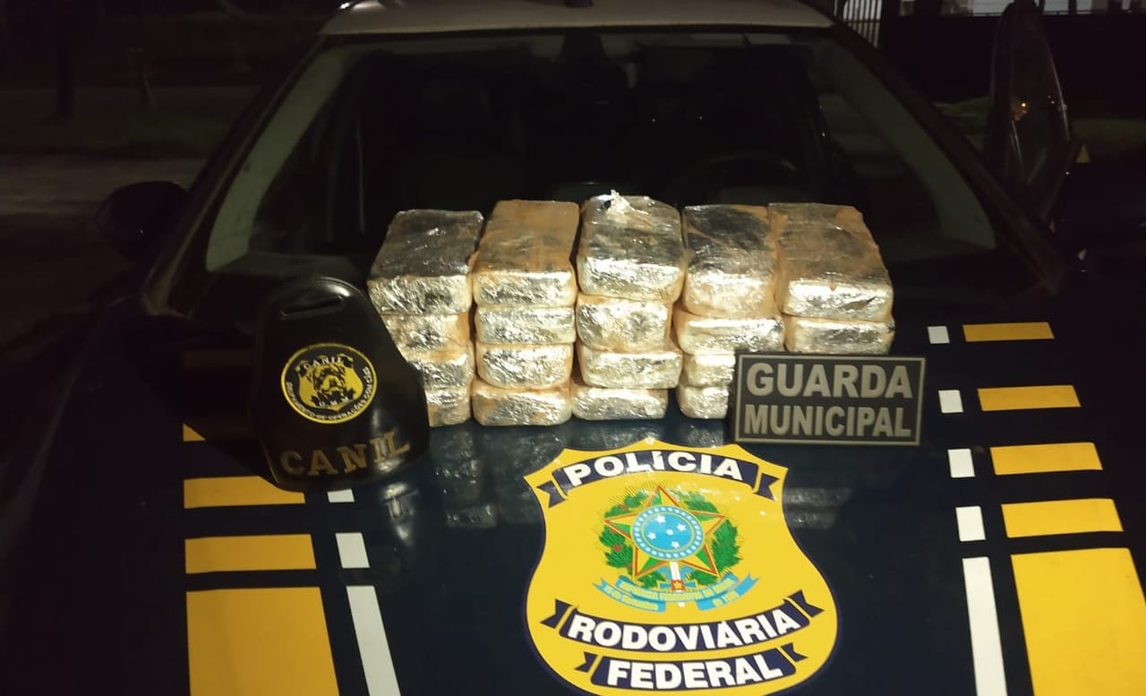 “Cães de detecção” localizam 20 kg de cocaína na carroceria de veículo em Marabá