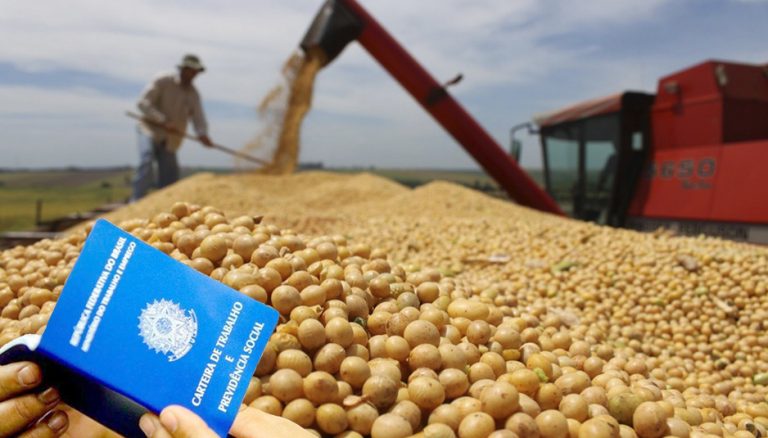 Pará registra aumento de postos de trabalho na agropecuária
