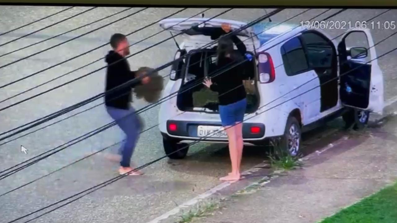 Câmeras flagram casal furtando grama de canteiro da BR-230