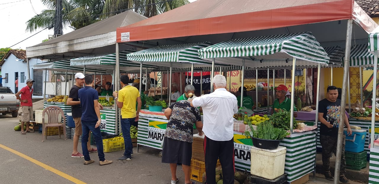 Realidade de agricultores na pandemia é tema de pesquisa em Marabá