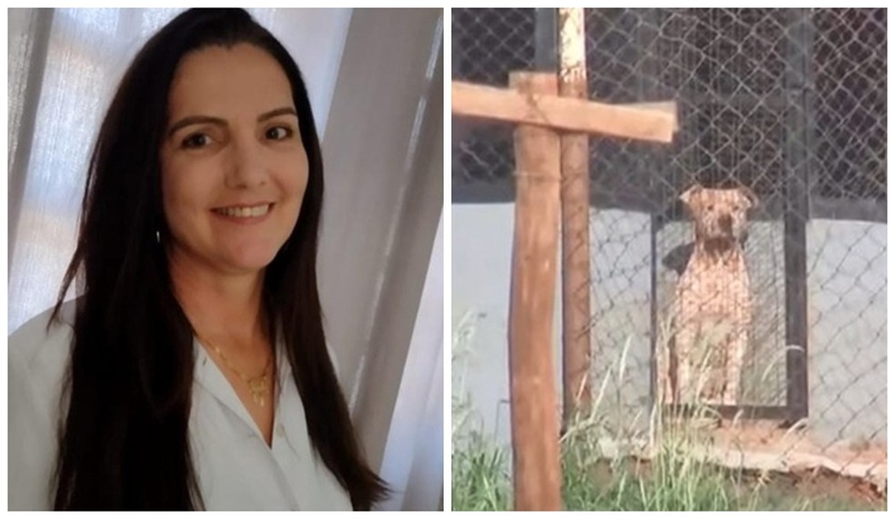 Mulher morta por pitbulls segurava caixa de pizza quando foi atacada
