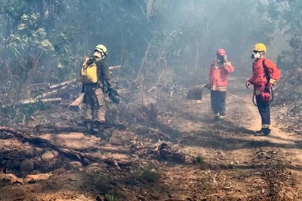Bombeiros tentam controlar incêndio em área de preservação no Pará