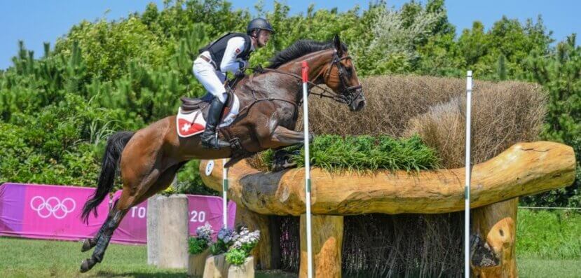 Cavalo é sacrificado após se machucar nas Olimpíadas