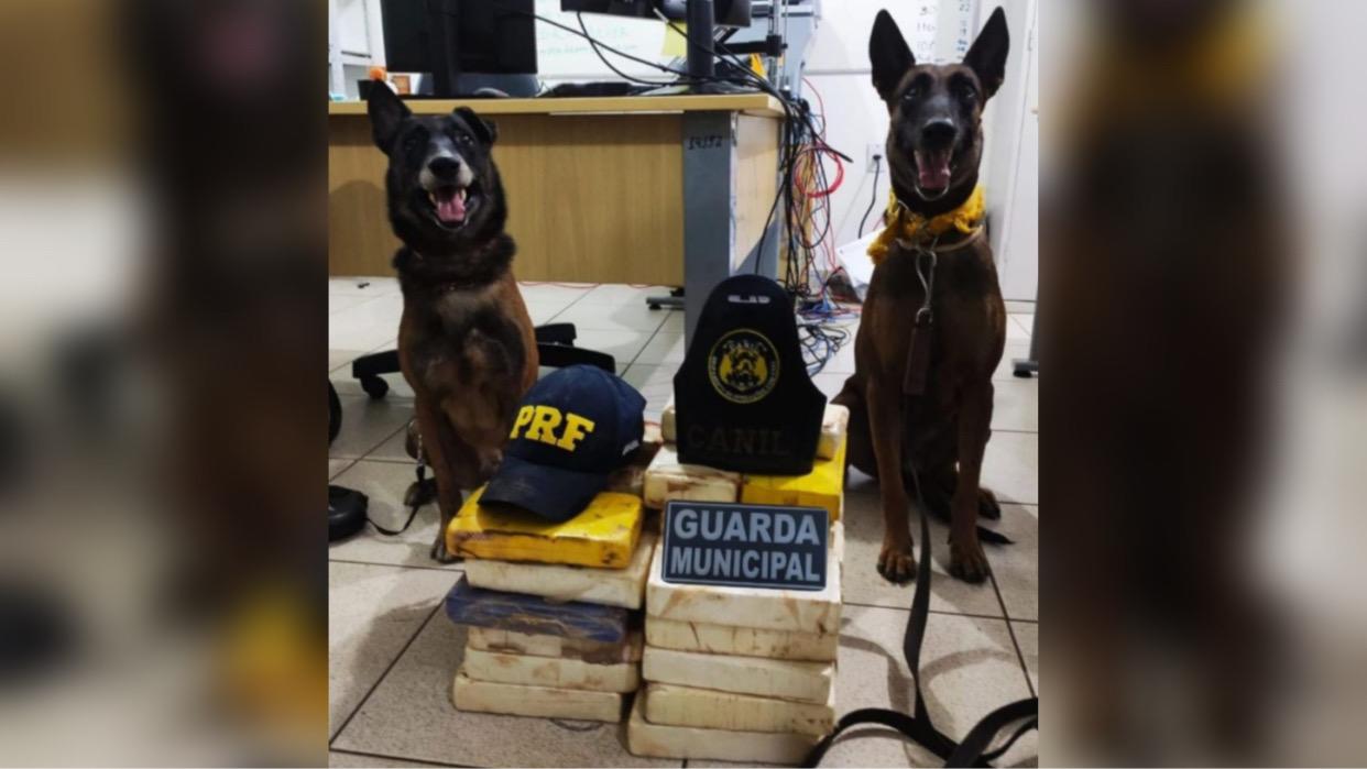 PRF e Guarda Municipal capturam ex-presidiário com 38 kg de drogas em Marabá