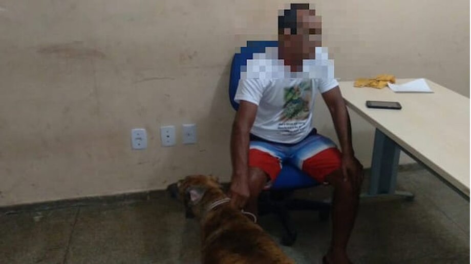 Tarado preso é suspeito de manter relações sexuais com cadela no oeste do Pará