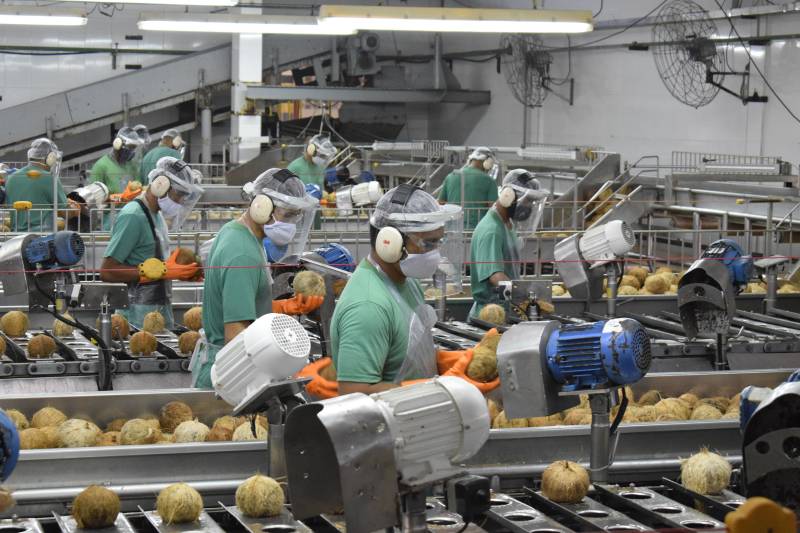 Distritos industriais já representam quase 12% do PIB paraense