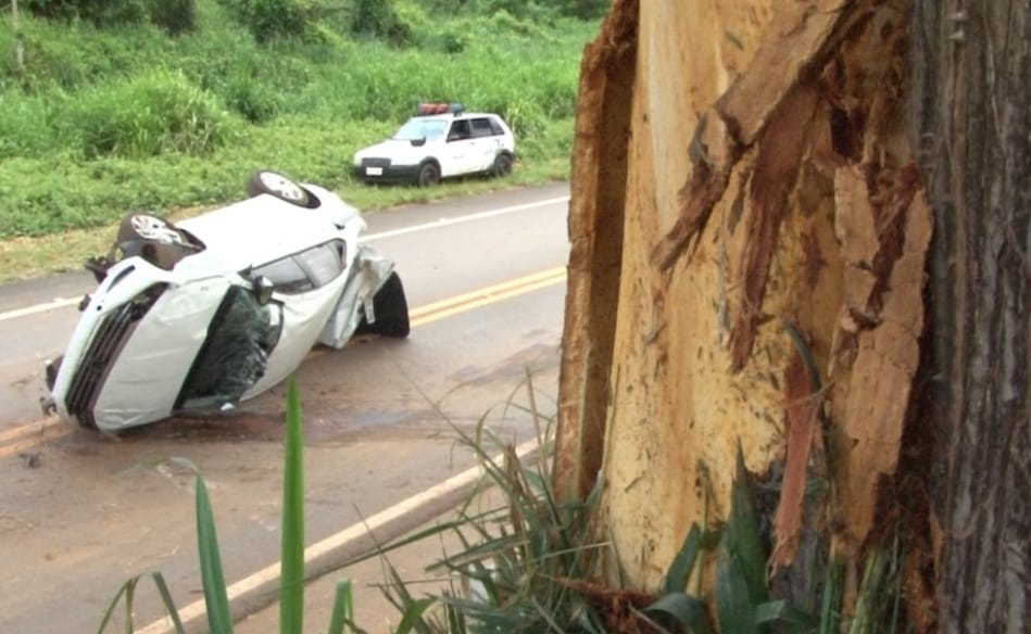 VÍDEO: Motorista capota carro, bate em árvore e quase cai em abismo na BR-230