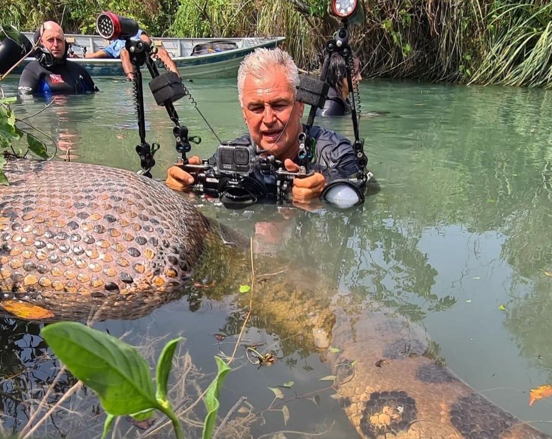 Sucuri gigante é flagrada digerindo animal em rio de águas cristalinas