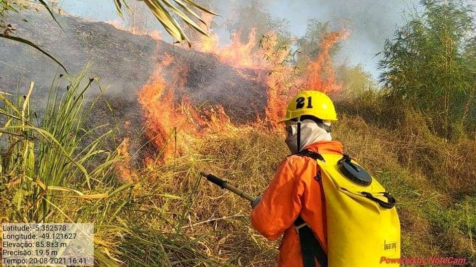 Brigadistas continuam trabalho de combate às queimadas em Marabá