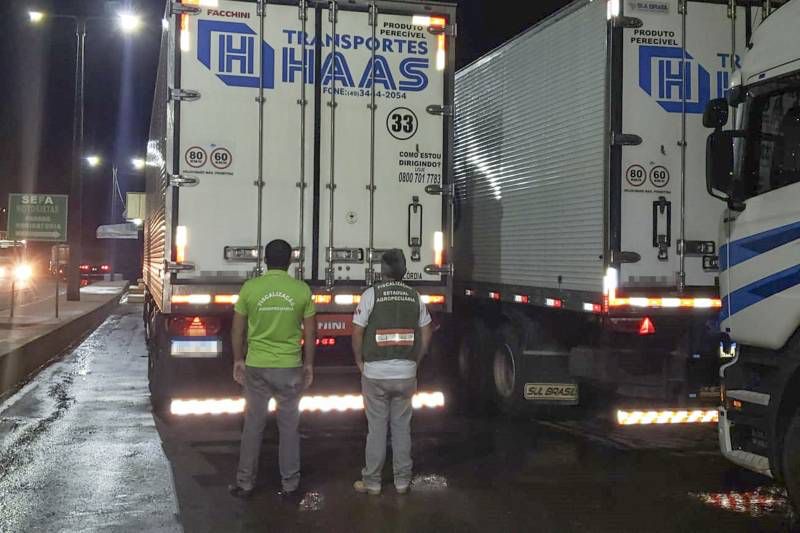 Adepará apreende carga irregular com 30 toneladas de polpa de açaí