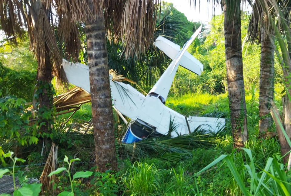 Avião faz pouso forçado em copa de pés de buriti no interior do Pará