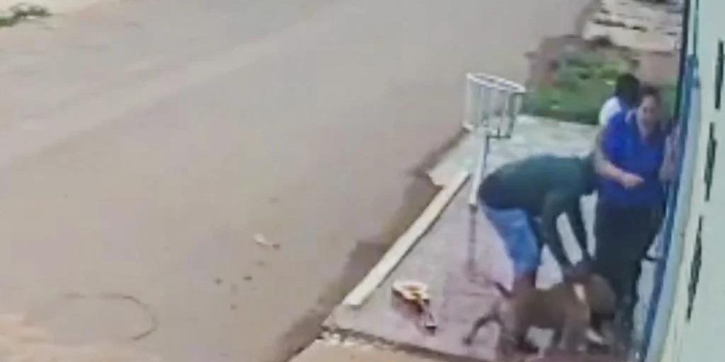 Mulher tem pernas dilaceradas após ataque de cachorros