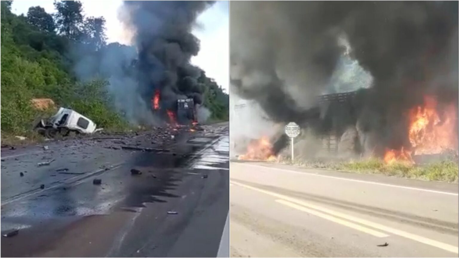 Colisão entre carretas mata motoristas e bois carbonizados no sudeste do Pará