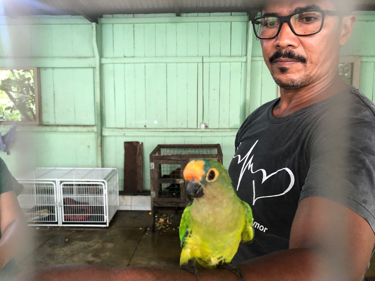 Fiscalização resgata papagaio e entrega ave para Parque Zoobotânico de Marabá