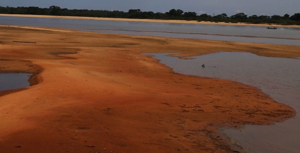 Seca no Rio Araguaia reduz a quantidade de ninhos de tartaruga da Amazônia
