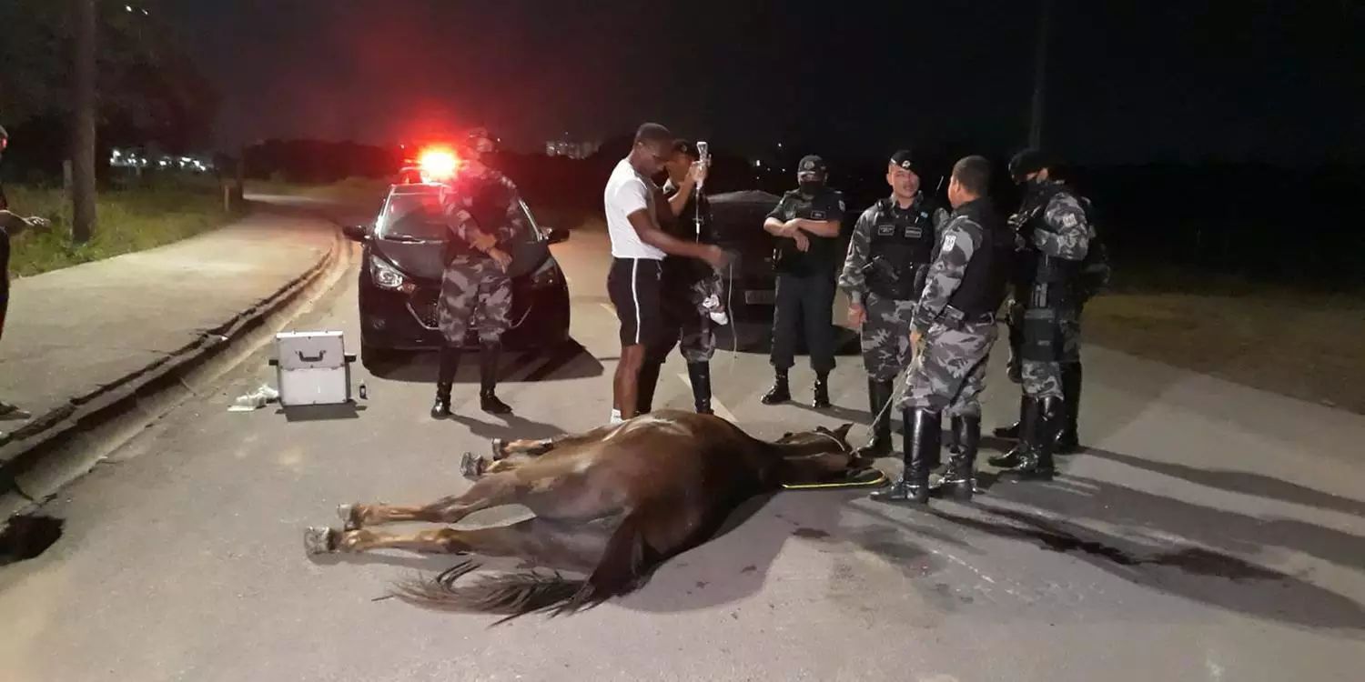 Cavalo da PM é atropelado após se assustar com fogos de artifício no Pará