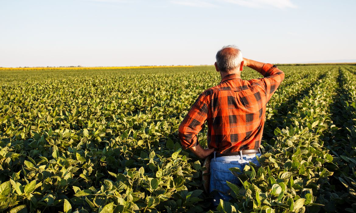 Produtor rural vai poder regularizar cadastro ambiental pela internet
