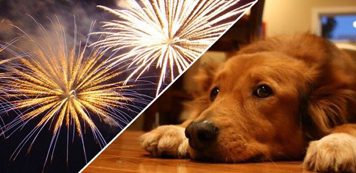 Deputado pede que paraenses soltem fogos de artifício ‘sem barulho’