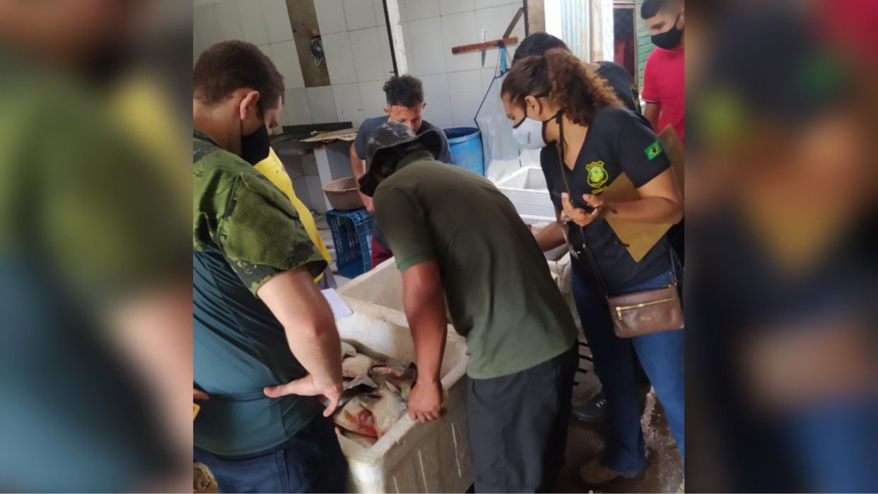 Fiscalização apreende 59 quilos de pescado irregular na Folha 28