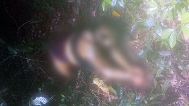 Corpo de mulher é encontrado em avançado estado de decomposição no Pará
