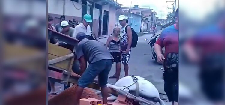 Tortura animal: cavalo desaba no asfalto por excesso de carga no Pará