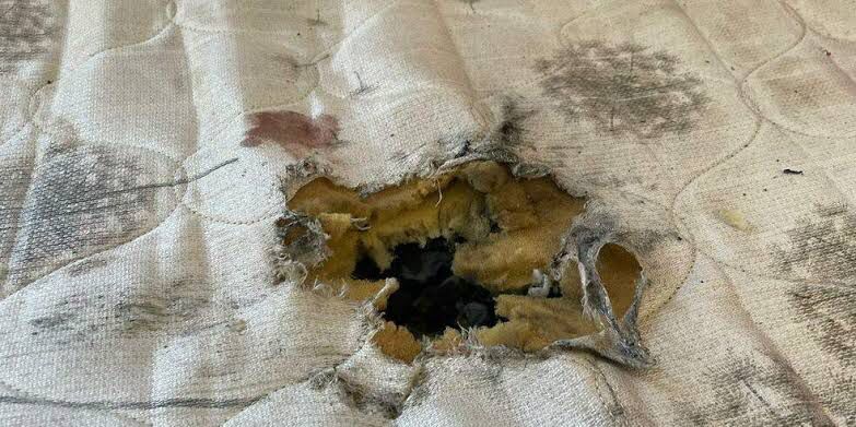 Menina de 4 anos morre após ser atingida por explosivo enquanto dormia