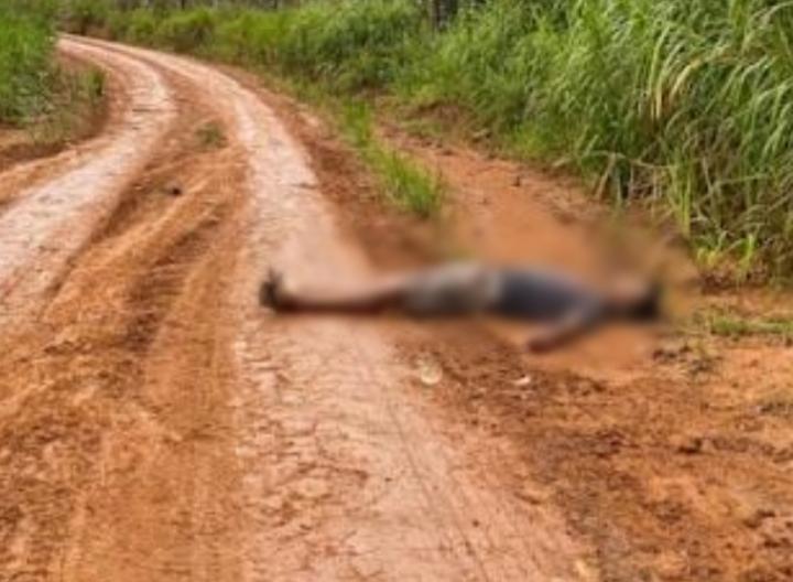 Corpo de homem é encontrado perfurado por tiros no oeste do Pará