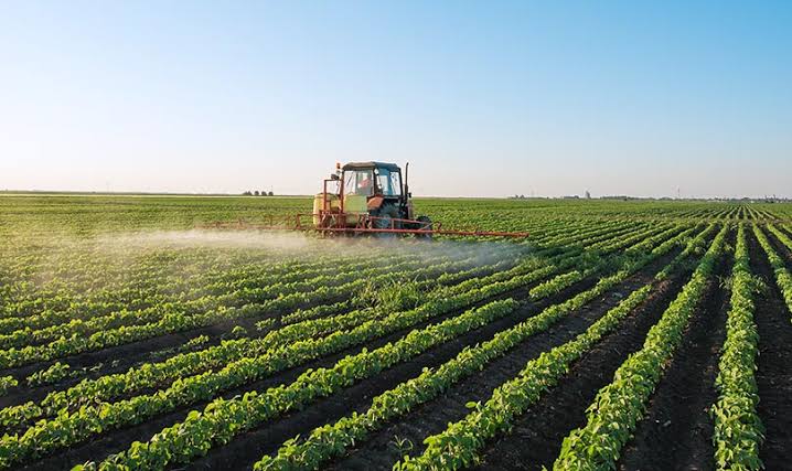 Parceria entre Conab e Sebrae fortalece agronegócio no Brasil