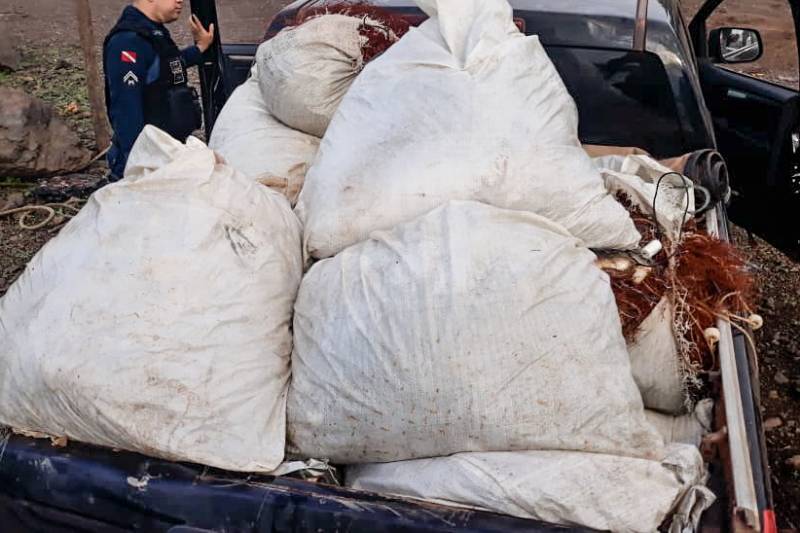Fiscalização apreende 15 toneladas de pescado no Lago de Tucuruí
