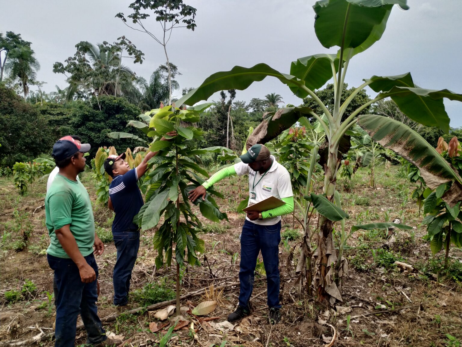 Vila Maravilha sedia seminário para produtores rurais neste domingo