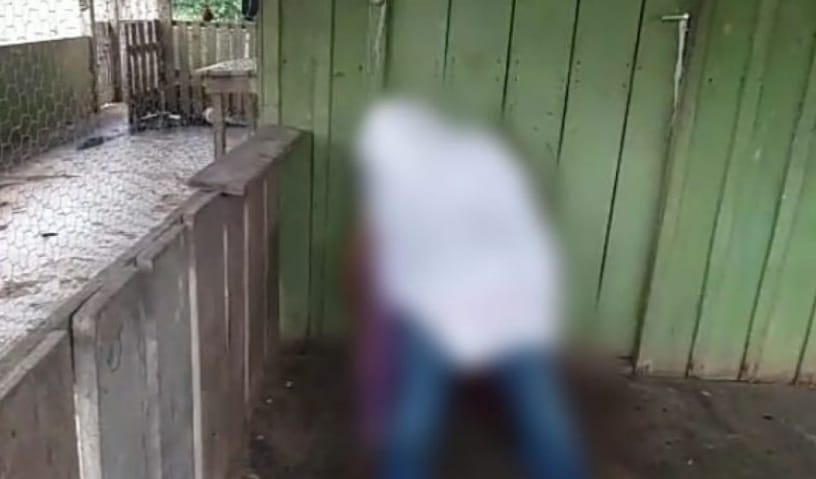 Pistoleiros invadem fazenda e deixam mortos no interior do Pará