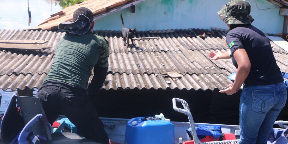 Equipes resgatam animais abandonados na enchente em Marabá