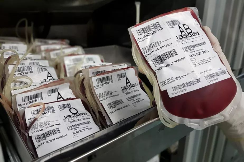 Hemopa coletou mais de 93 mil bolsas de sangue em 2021