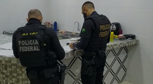 PF combate desmatamento e comércio clandestino de madeira no Pará