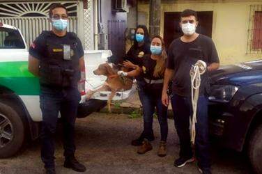 Homem que fingia ser médico veterinário é preso no sudeste do Pará