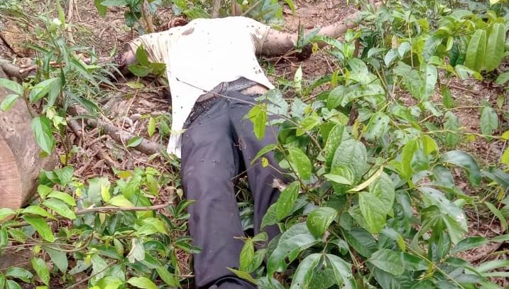 Corpo é encontrado em área de mata no Pará