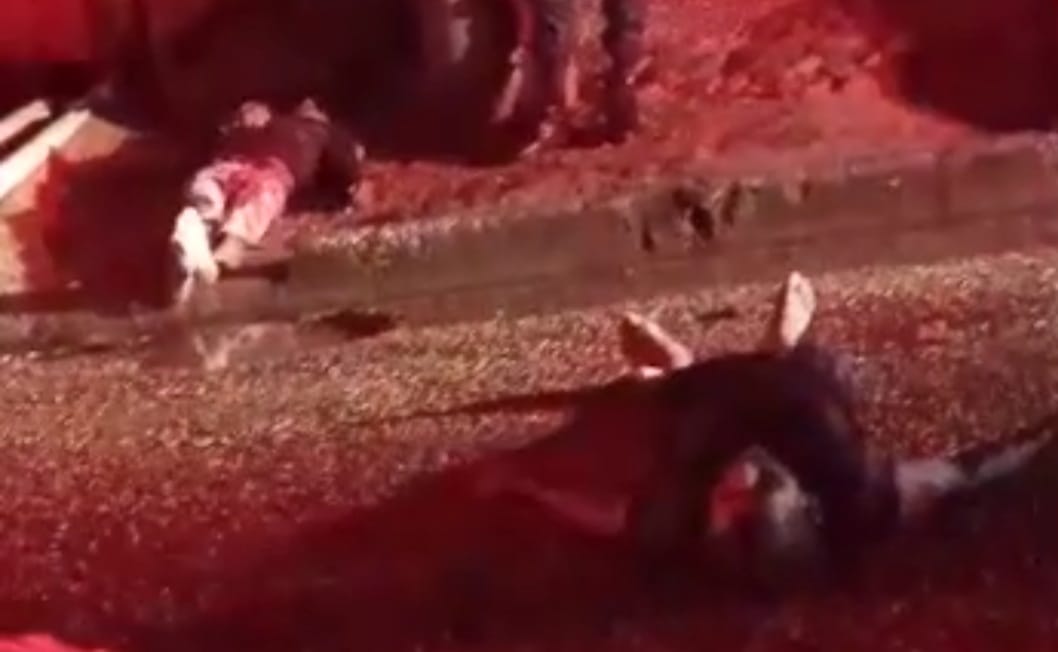 Irmãos duelam a facadas até a morte no sudeste do Pará