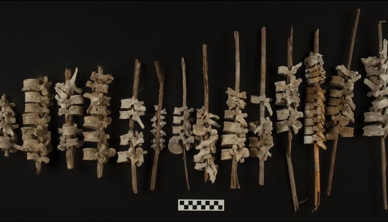Vértebras humanas são encontradas empilhadas em varas no Peru