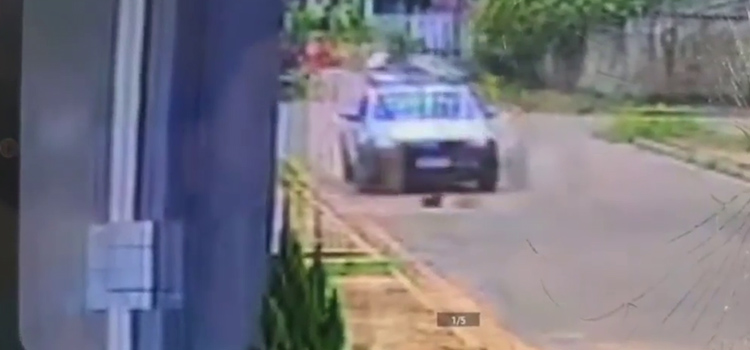 VÍDEO: Carro de empresa de energia atropela cadela e foge sem prestar socorro