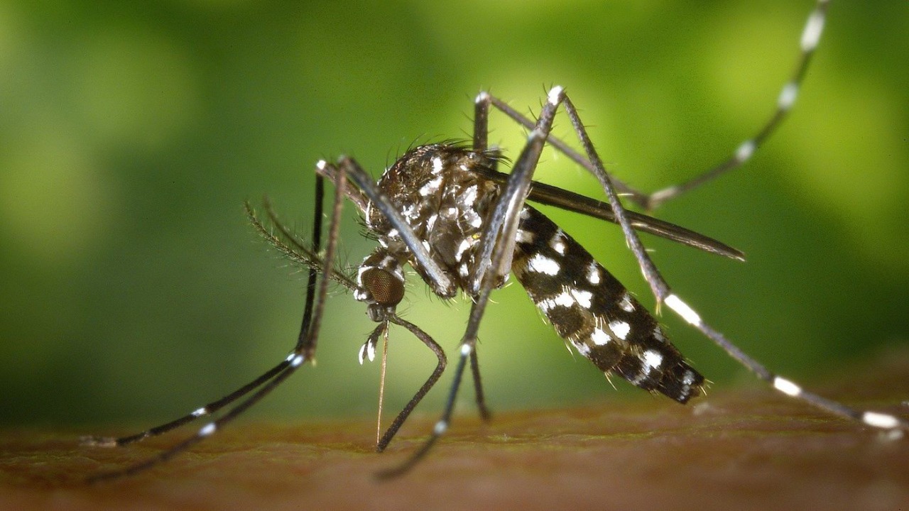 Regional de Marabá aponta principais sintomas e diferenças entre covid-19 e dengue