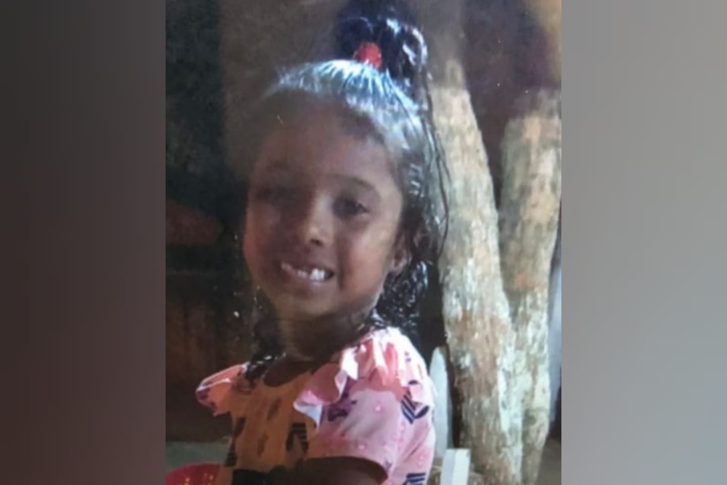Menina de 7 anos desaparece na zona rural de Marabá