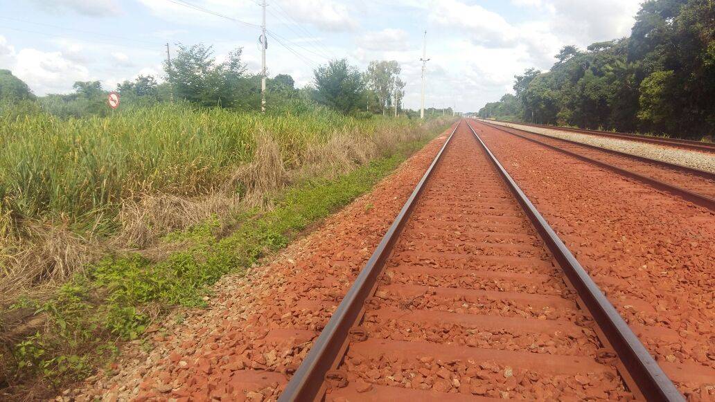 Suspeitos de furtar dormentes da ferrovia são presos em Marabá