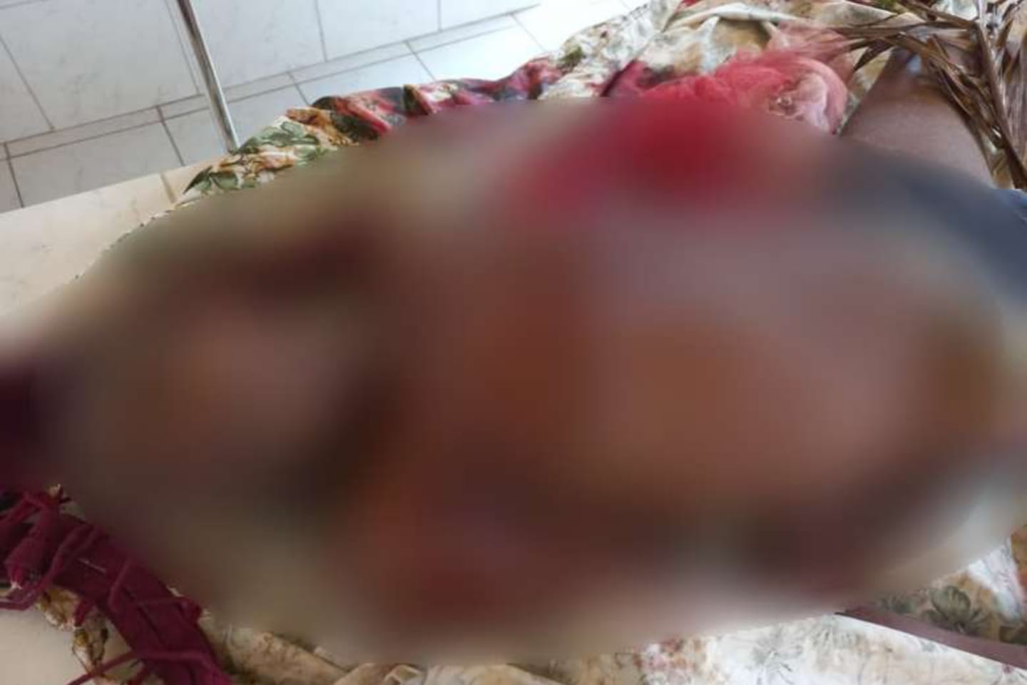 Assaltante é morto durante intervenção policial no interior do Pará