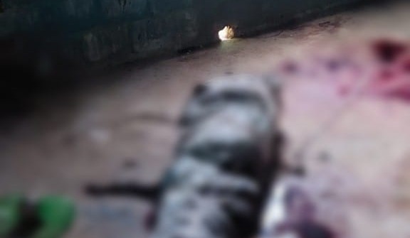 Corpo é encontrado embalado em saco plástico no Pará