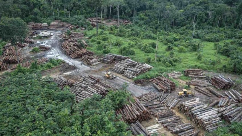 Ibama aprova plano nacional de proteção ambiental para 2022