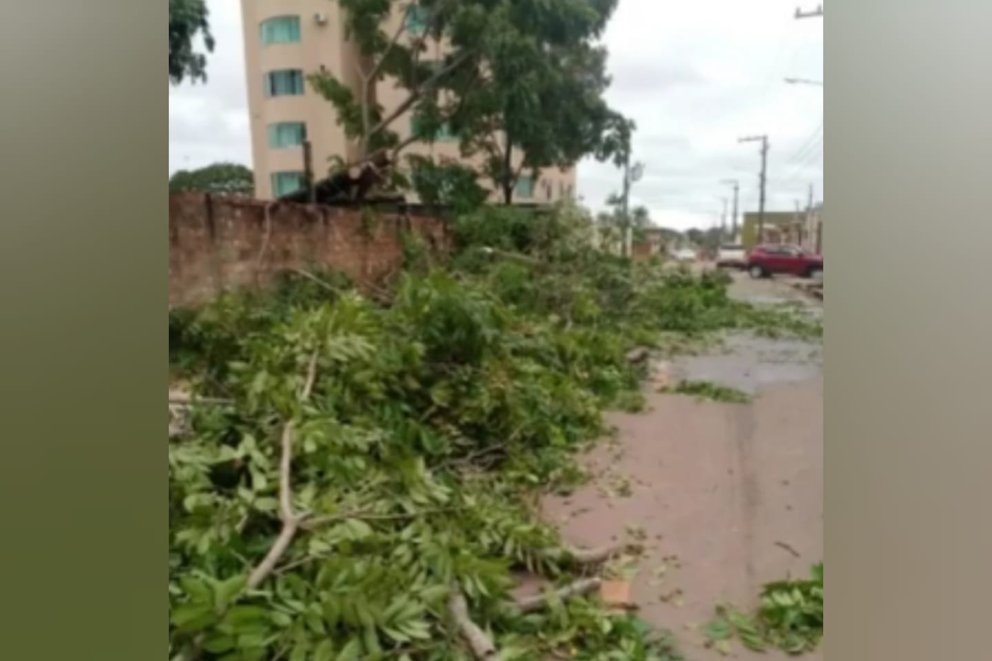 Tempestade causa danos e queda de árvores em Marabá
