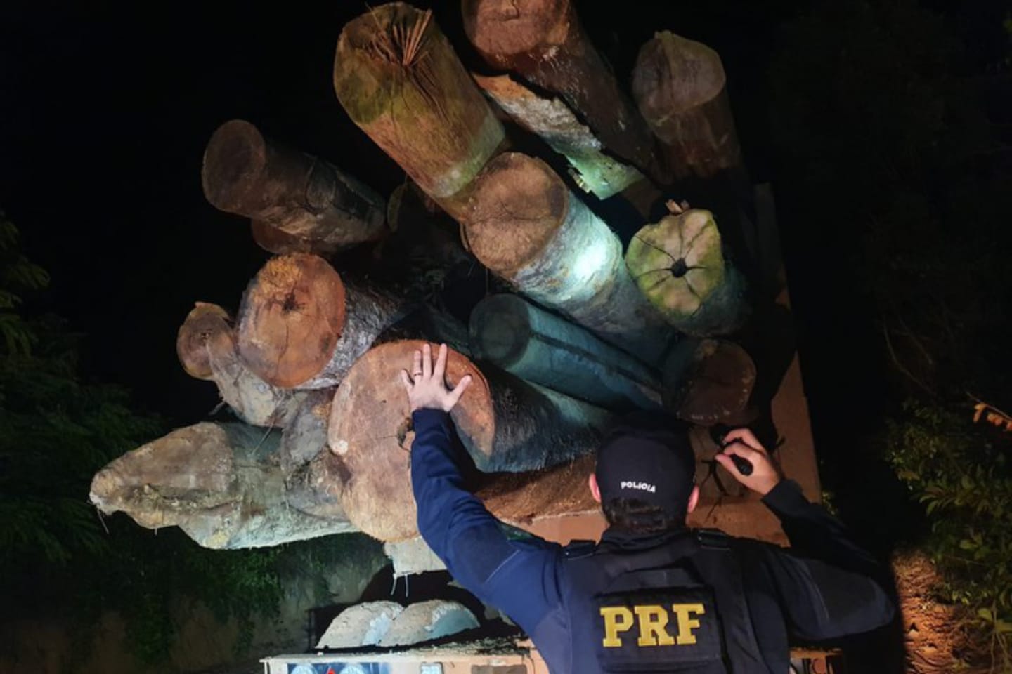 PRF apreende 62 m³ de madeira sem documentação no interior do Pará