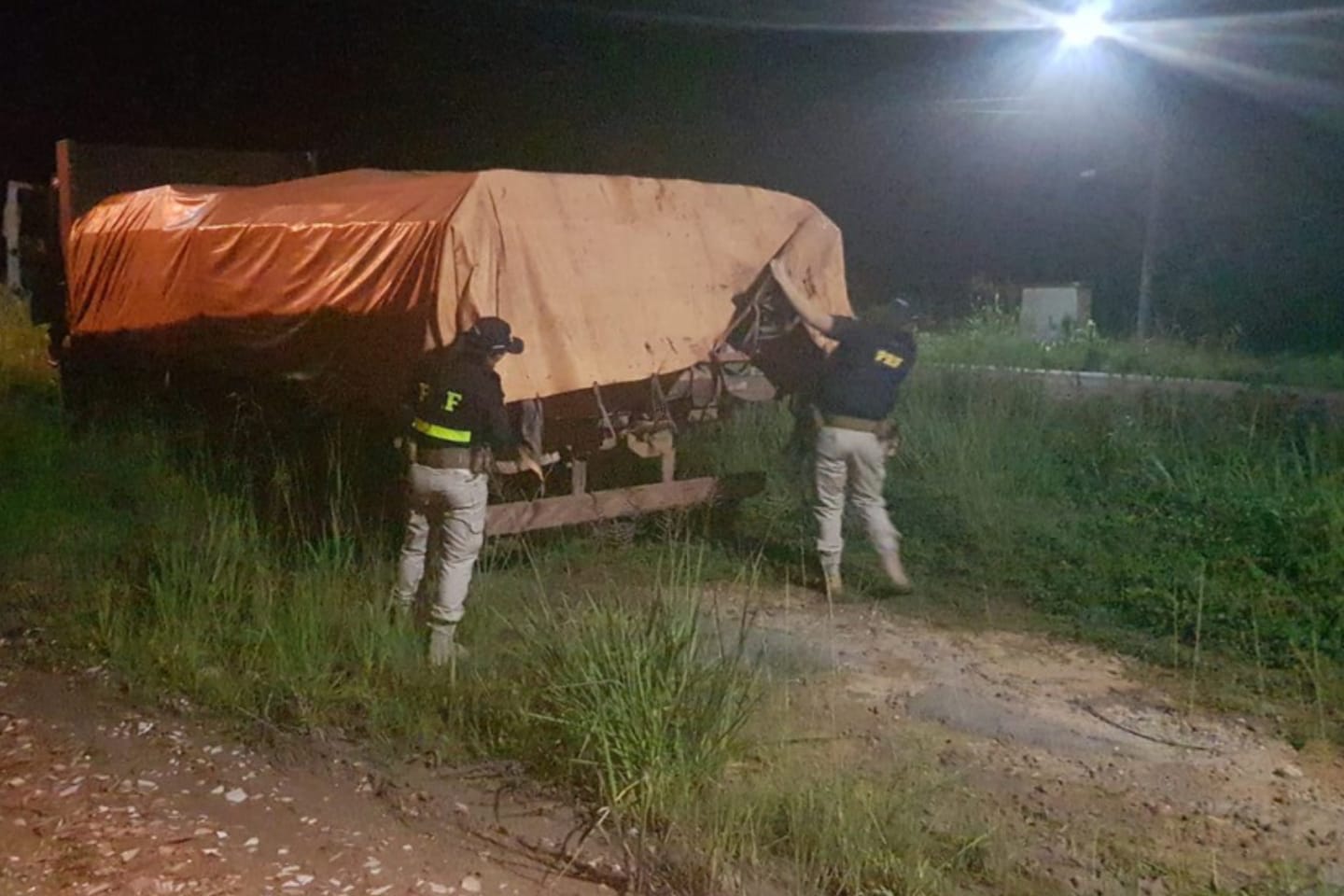 16 m³ de madeira serrada ilegal são apreendidos em caminhão no Pará