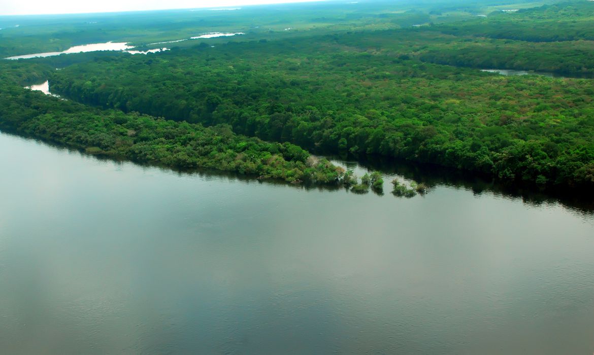 Apenas 7% das águas da Mata Atlântica estão em boas condições de uso